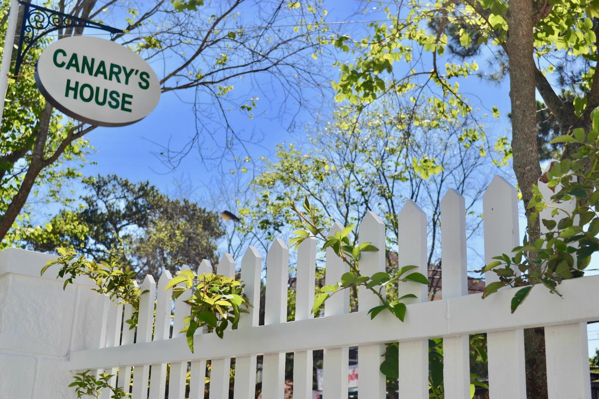 Canary House Dalat Hotel Exterior photo